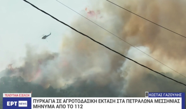 Πυρκαγιά στα Πετράλωνα του Δήμου Μεσσήνης - Απειλούν τα πρώτα σπίτια του χωριού οι φλόγες (βίντεο)