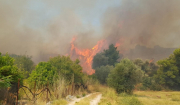 Καθαρισμός οικοπέδων: Συστάσεις και απαγορεύσεις πυροσβεστικής