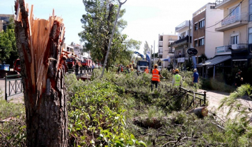 Νέο Ηράκλειο: Η κακοκαιρία «πέταξε» σκύλο στην απέναντι ταράτσα