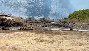 Πάρος: Από εδώ ξεκίνησε η φωτιά στην περιοχή της Αγκαιριάς…
