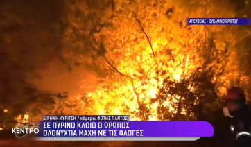 Φωτιά τώρα στον Ωρωπό: Ολονύχτια μάχη με την πυρκαγιά (βίντεο)