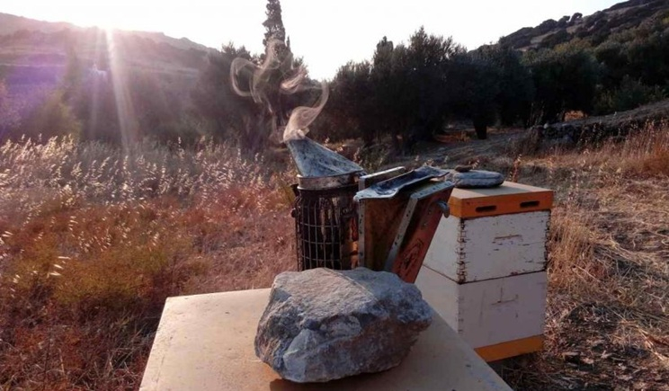 Δήμος Πάρου: Ενημέρωση προς Κτηνοτρόφους και Μελισσοκόμους για Υποβολή Αίτησης