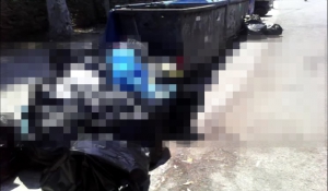 Νάουσα – Πάρου: Οι κάδοι άδειοι … και τα σκουπίδια στη μέση του δρόμου !