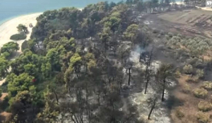 Φωτιά στην Εύβοια - Drone πάνω από τις καμένες εκτάσεις: Όλη η καταστροφή σε ένα βίντεο