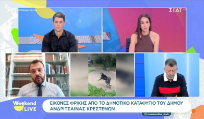 Εικόνες φρίκης από το δημοτικό καταφύγιο του Δήμου Ανδρίτσαινας Κρεστένων (βίντεο)