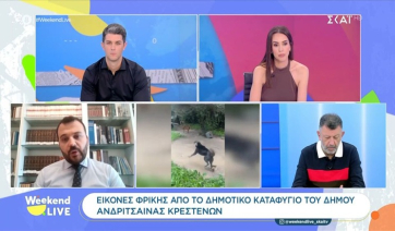 Εικόνες φρίκης από το δημοτικό καταφύγιο του Δήμου Ανδρίτσαινας Κρεστένων (βίντεο)