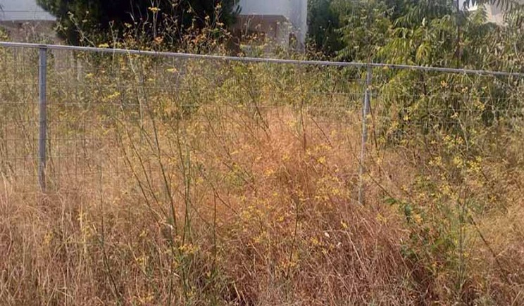 Δήμος Πάρου: Καθαρισμός ιδιοκτησιών και δήλωση στο Εθνικό Μητρώο Τήρησης Μέτρων Προληπτικής Πυροπροστασίας Ιδιοκτησιών