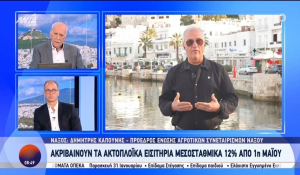 Κυκλάδες: Πόσο επηρεάζονται οι τιμές των προϊόντων από τις αυξήσεις στα ακτοπλοϊκά εισιτήρια (βίντεο)