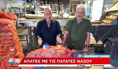 Απάτες με πατάτες Νάξου (βίντεο)