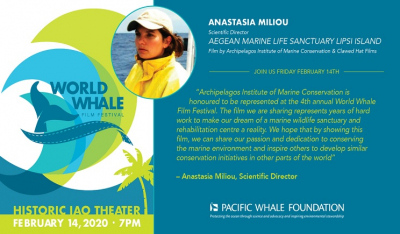 Αρχιπέλαγος - Βράβευση στο World Whale Film Festival στο Maui της Χαβάης