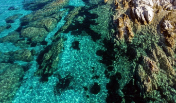 Ανοίγει ο δρόμος για τη δημιουργία του Εθνικού Θαλάσσιου Πάρκου Ν. Αιγαίου - Εγκρίθηκαν οι σχετικές Ειδικές Περιβαλλοντικές Μελέτες