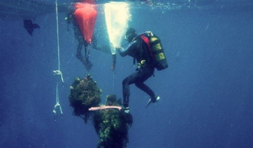 Με πρωτοβουλία του Δημάρχου Άνδρου, έρχεται στις (6/8) εξειδικευμένο κλιμάκιο δυτών για την εκτίμηση της κατάστασης του βυθού