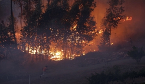 Φλέγεται η Πορτογαλία: Περισσότερες από 184 πυρκαγιές