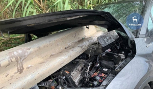 Τροχαίο - ΣΟΚ στη Ρόδο: Προστατευτικό κιγκλίδωμα διαπέρασε αυτοκίνητο - Απίστευτες εικόνες