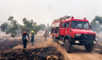Φωτιά στην Εύβοια: Στάχτη έγιναν 6.500 στρέμματα