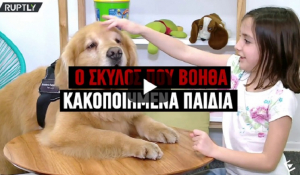 Ο πρώτος σκύλος θεραπευτής για κακοποιημένα παιδιά [βίντεο]