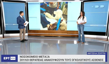 Νοσοκομείο Μεταξά: Σκύλοι θεραπείας ανακουφίζουν τους ογκολογικούς ασθενείς (βίντεο)
