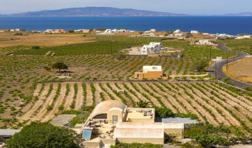 Σαντορίνη: Το πιλοτικό έργο SVinE δοκιμάζει λύσεις άρδευσης με ανακυκλωμένο νερό για τη διάσωση του Θηραϊκού αμπελώνα