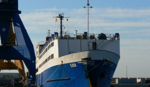 Elbeik: Πώς το πλοίο με τα 1.780 ζώα βρέθηκε στην Ελλάδα – Μετά από «θρίλερ» αναχωρεί από την Καλαμάτα