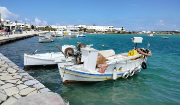 Νέα ψηφιακή εφαρμογή για άμεση ενημέρωση σχετικά με τις βασικές τοπικές απαγορεύσεις επαγγελματικής αλιείας