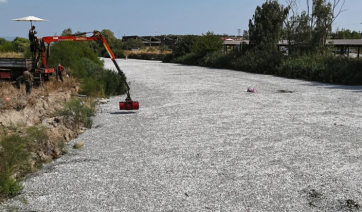 Θέμα στα διεθνή ΜΜΕ η υπόθεση με τα νεκρά ψάρια - Στη δικαιοσύνη θα προσφύγει η Ένωση Ξενοδόχων