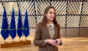 Δ. Μιχαηλίδου στο ΕΡΤnews: Στήριξη στους πολίτες με τα προγράμματα «Νταντάδες της Γειτονιάς» και «Ανακαινίζω – Νοικιάζω» (βίντεο)