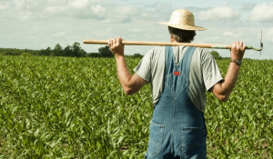 Γεωτεχνικό Επιμελητήριο Ελλάδας Παράρτημα Αιγαίου