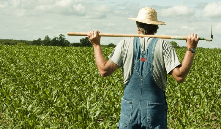 Γεωτεχνικό Επιμελητήριο Ελλάδας Παράρτημα Αιγαίου