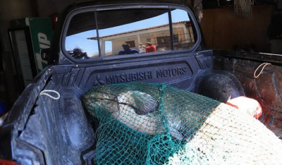 Χαμός στην Κοζάνη! Ψαράδες σήκωσαν τα δίχτυα τους και τρελάθηκαν από χαρά με ψάρι - θηρίο