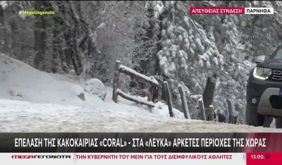 Η επέλαση της κακοκαιρίας Coral - Χαμηλές θερμοκρασίες, χιόνια & παγετός (Βίντεο)