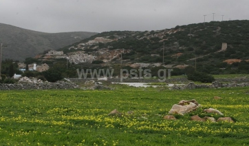 Διευκρινιστική απάντηση της Δημ. Συμβούλου κ. Κατερίνας Πατέλη