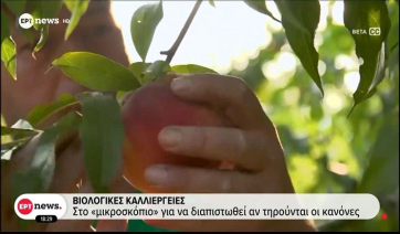 Βιολογικές καλλιέργειες: Στο «μικρόσκοπιο» για να διαπιστωθεί αν τηρούνται οι κανόνες (Βίντεο)