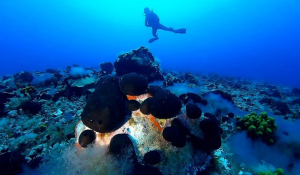 Κολούμπο: Τι μας διδάσκει το τσουνάμι του 1650 και πόσο έτοιμη είναι σήμερα η Σαντορίνη