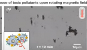 Δημιουργήθηκαν νανορομπότ που μπορούν να απομακρύνουν τη ρύπανση από το νερό [βίντεο]