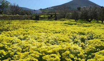 Κορωνοϊός: 24 κρούσματα στην Πάρο - 312 συνολικά στις Κυκλάδες