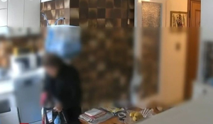 «Μαϊμού» υδραυλικός «ξάφριζε» σπίτια ηλικιωμένων (βίντεο)