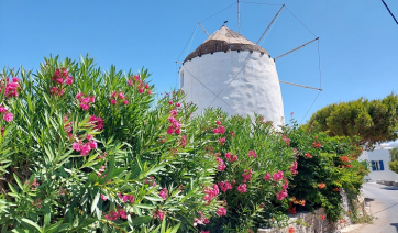 Ενημερωτική εκδήλωση – συζήτηση για την Πάρο στην Παριανή Στέγη στην Αθήνα