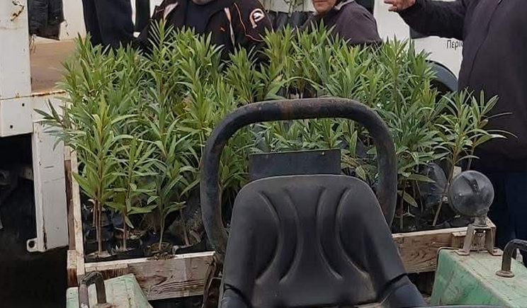 2700 Δασικά και καλλωπιστικά φυτά από το Περιφερειακό φυτώριο