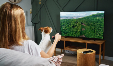 Τι θέλουν να βλέπουν στην τηλεόραση οι σκύλοι ανάλογα με τον χαρακτήρα τους