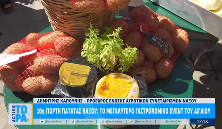 Καθαρίσαμε πατάτες σε όλη τη Νάξο για τη 16η Γιορτή Πατάτας Νάξου! (βίντεο)