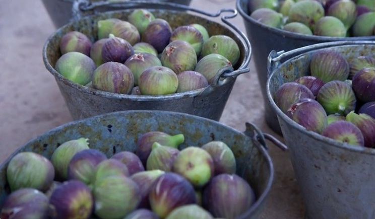 Σύκα: Το πεντανόστιμο καλοκαιρινό superfood
