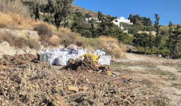 Δήμος Πάρου: Δωρεάν διάθεση ξυλείας σε δικαιούχους δημότες