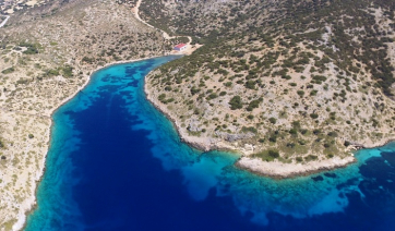 Αρχιπέλαγος - Βράβευση στο World Whale Film Festival στο Maui της Χαβάης