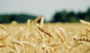 Προς εκτόνωση η επισιτιστική κρίση; Υπογράφεται σήμερα η συμφωνία Ρωσίας–Ουκρανίας για την εξαγωγή σιτηρών