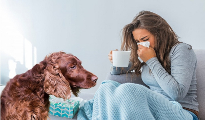 Μπορεί ο σκύλος σας να καταλάβει πότε είστε άρρωστος;