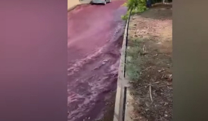 Πορτογαλία: «Κόκκινο ποτάμι» στη Λεβίρα -Έσπασαν βαρέλια με κρασί, 2 εκατ. λίτρα πλημμύρισαν την πόλη