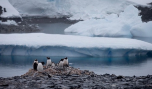 Η υπόγεια μάχη των πάγων στην Ανταρκτική