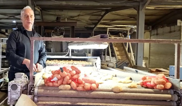 Πατάτες Νάξου... «μαϊμού» (βίντεο)