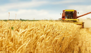 Ουκρανία: «Δύο βήματα» απέχει από τη συμφωνία με τη Ρωσία για την εξαγωγή σιτηρών το Κίεβο