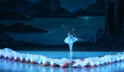 «Λίμνη των Κύκνων»: Το δημοφιλές μπαλέτο έρχεται στο Δημοτικό Θέατρο Λυκαβηττού